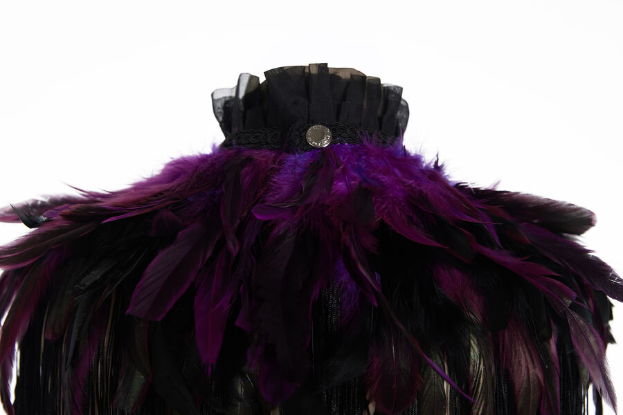 photo n°7 : Boléro gothique à plumes violet