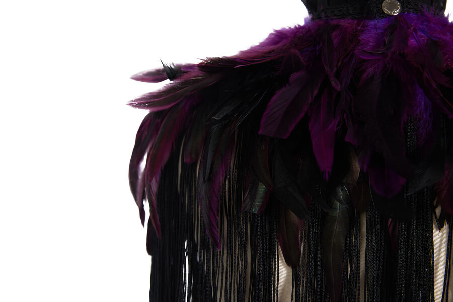 photo n°8 : Boléro gothique à plumes violet