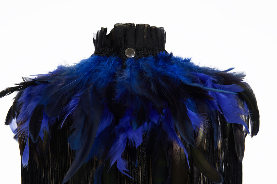 photo n°13 : Boléro gothique à plumes bleu