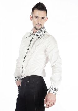 Chemise Gothique Aristocrate Homme Jabot Floqué Elastique blanc