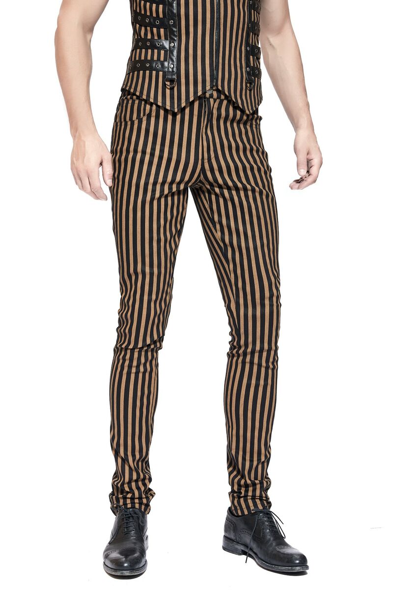 photo n°5 : Pantalon style steampunk à rayure pour homme